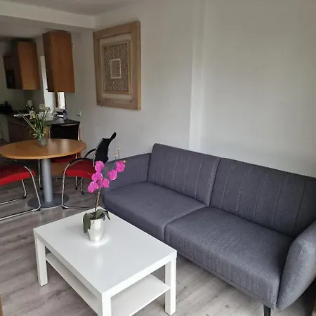 Nobile Lumaris 105 *